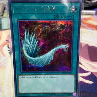 ハーピィの羽根帚 シークレットレア