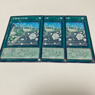 White Rose Cloister Normal