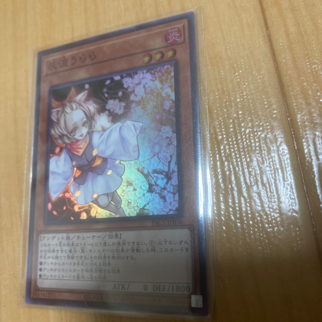 Ash Blossom & Joyous Spring