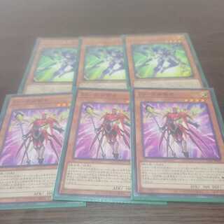 ZS-Consecrate Sage Set