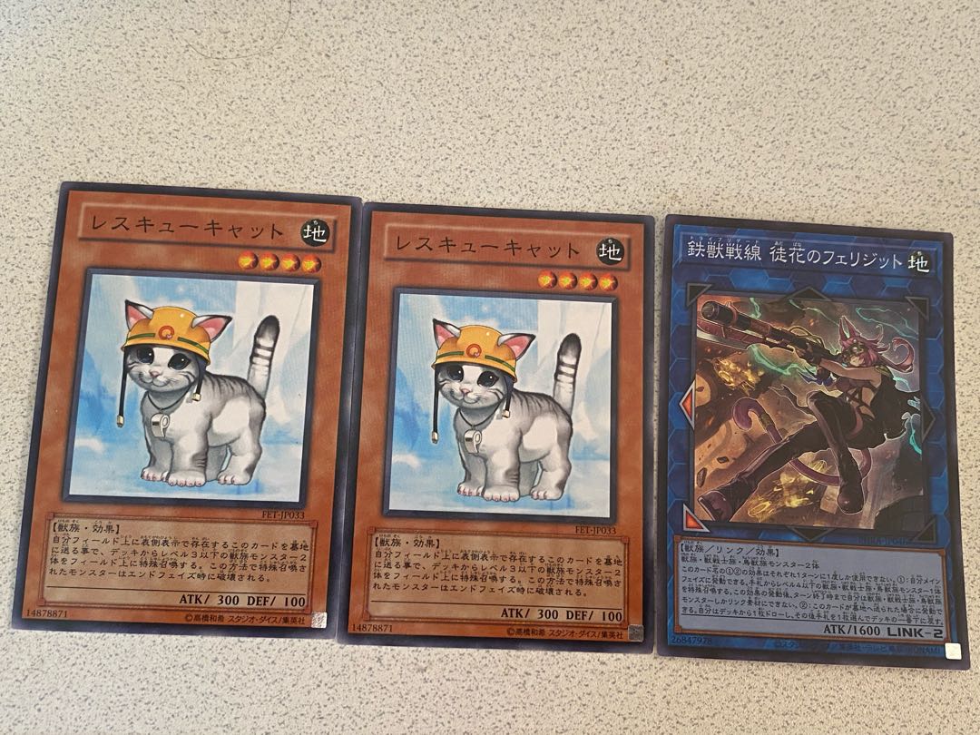 Rescue Cat + Felidit