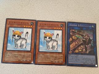 Rescue Cat + Felidit