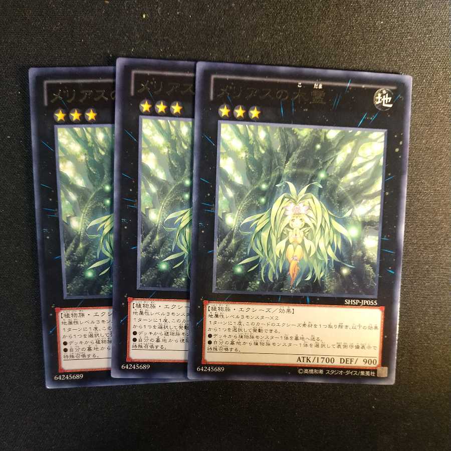Meliae of the Trees Rare