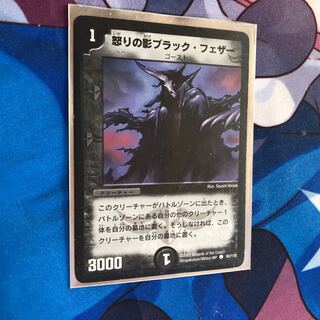 Shadow of Rage Black Feather