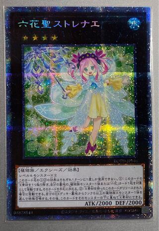 ストレナエ プリズマ」の激安通販 | magi