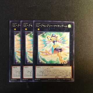 LL-Assembly Nightingale Normal