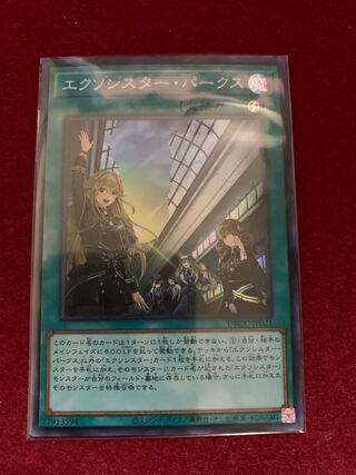 エクソシスター・パークス