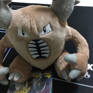 【はるか様専用】ピカチュウ&ゼクロム GX」１枚