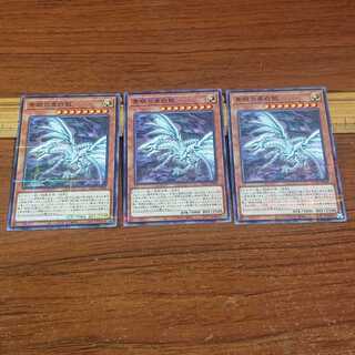 Blue-Eyes Alternative White Dragon Parallel Normal JP008 3