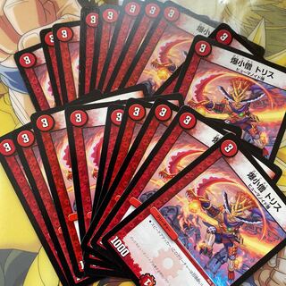 Bakko-kobo Koto Squirrel