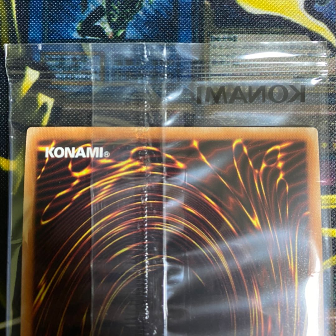 WCS2019 真紅眼の黒竜