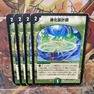 進化設計図　4枚セット