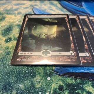 Forest Basic Land ZEN Set of 7