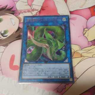 捕食植物ヴェルテ・アナコンダ