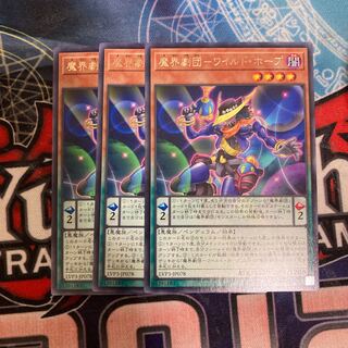 Magic Theatre Company - Wild Hope, Rare, 3 copies, Special Price