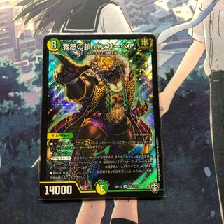 我怒の鎖 パンサーベア