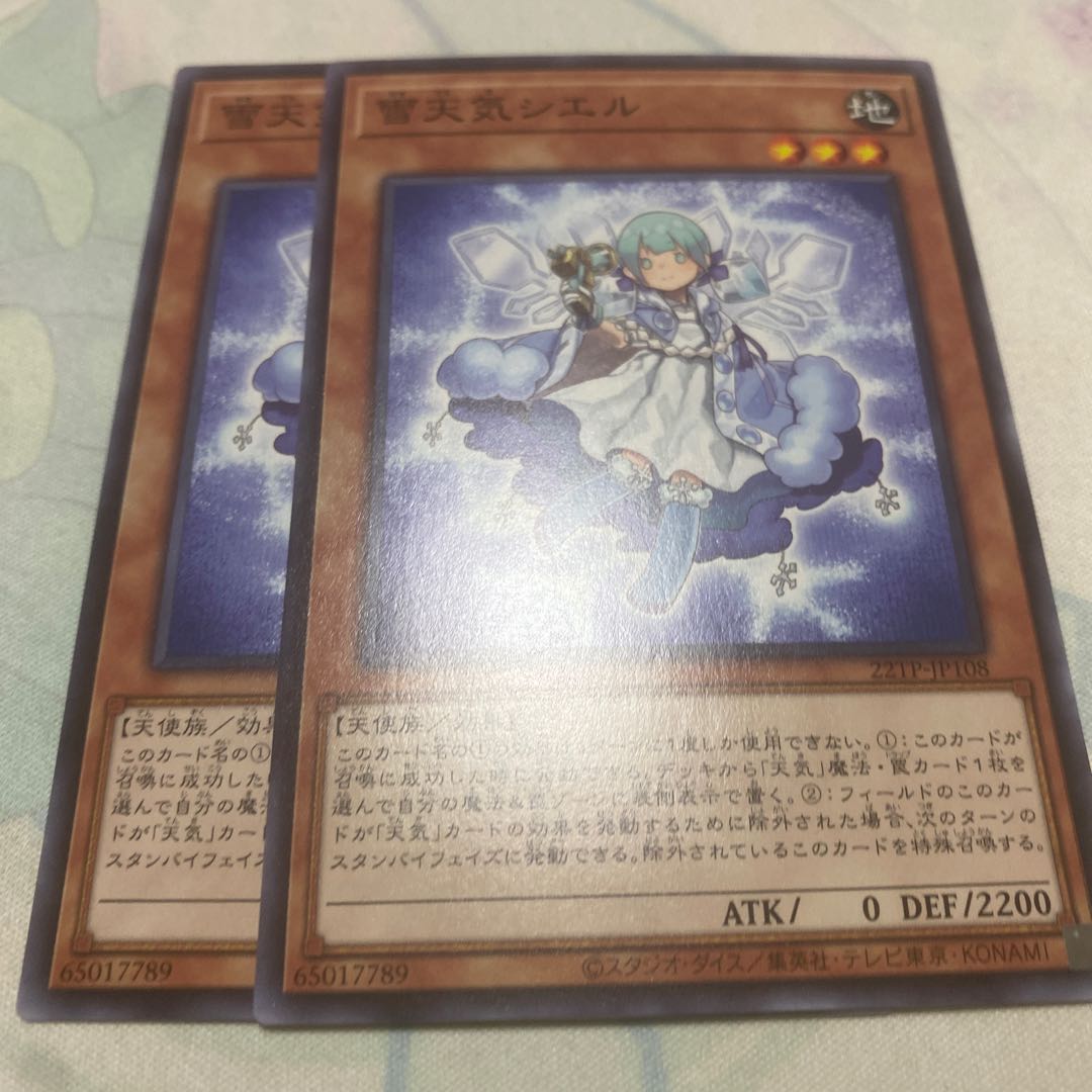 The Weather Painter Snow