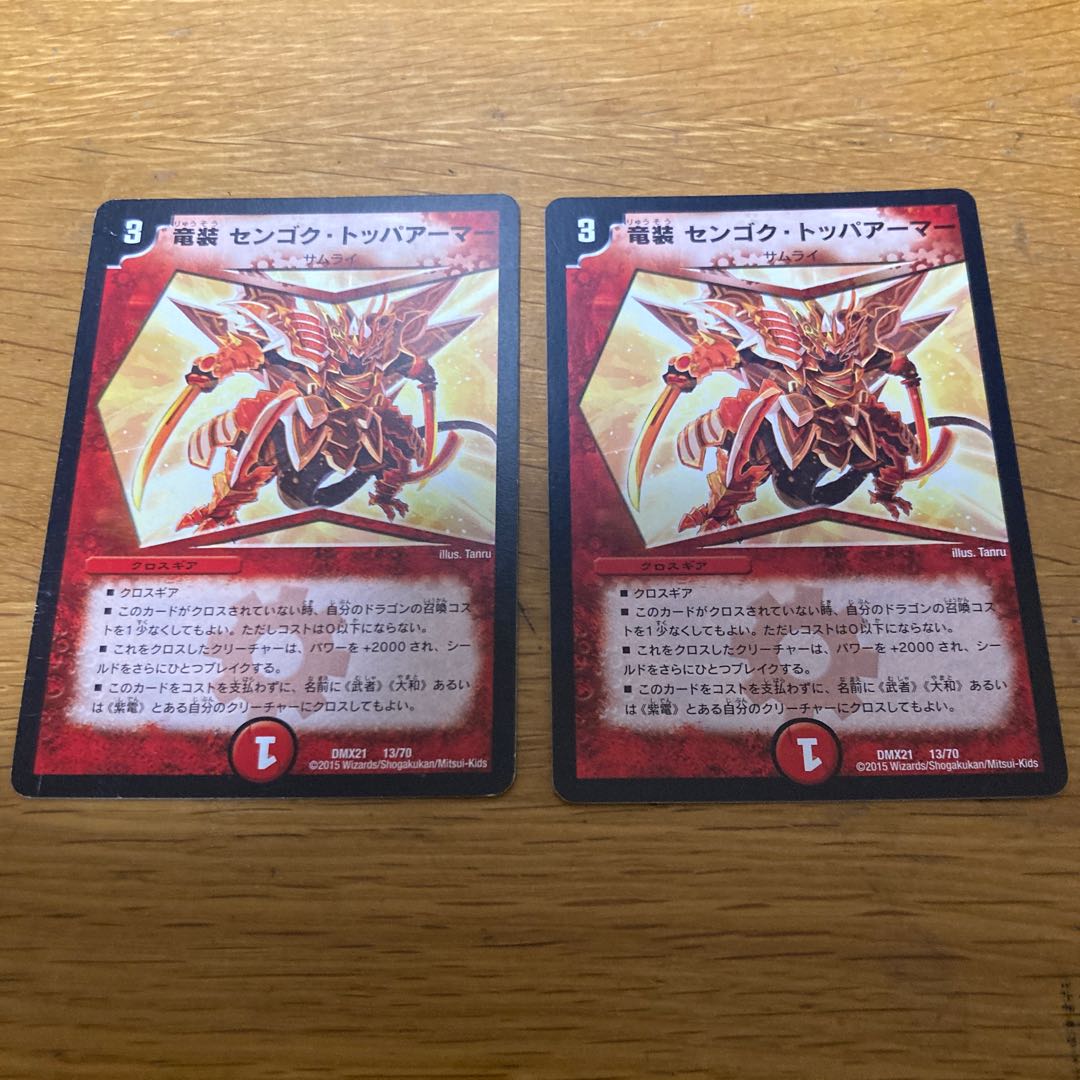 竜装 センゴク・トッパアーマー 2枚