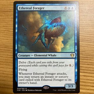 天上の餌あさり　英語