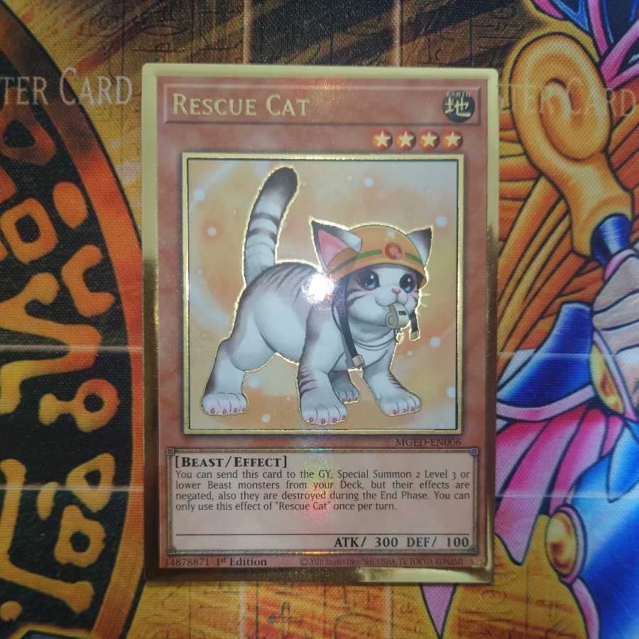 Rescue Cat (different picture) Pregol