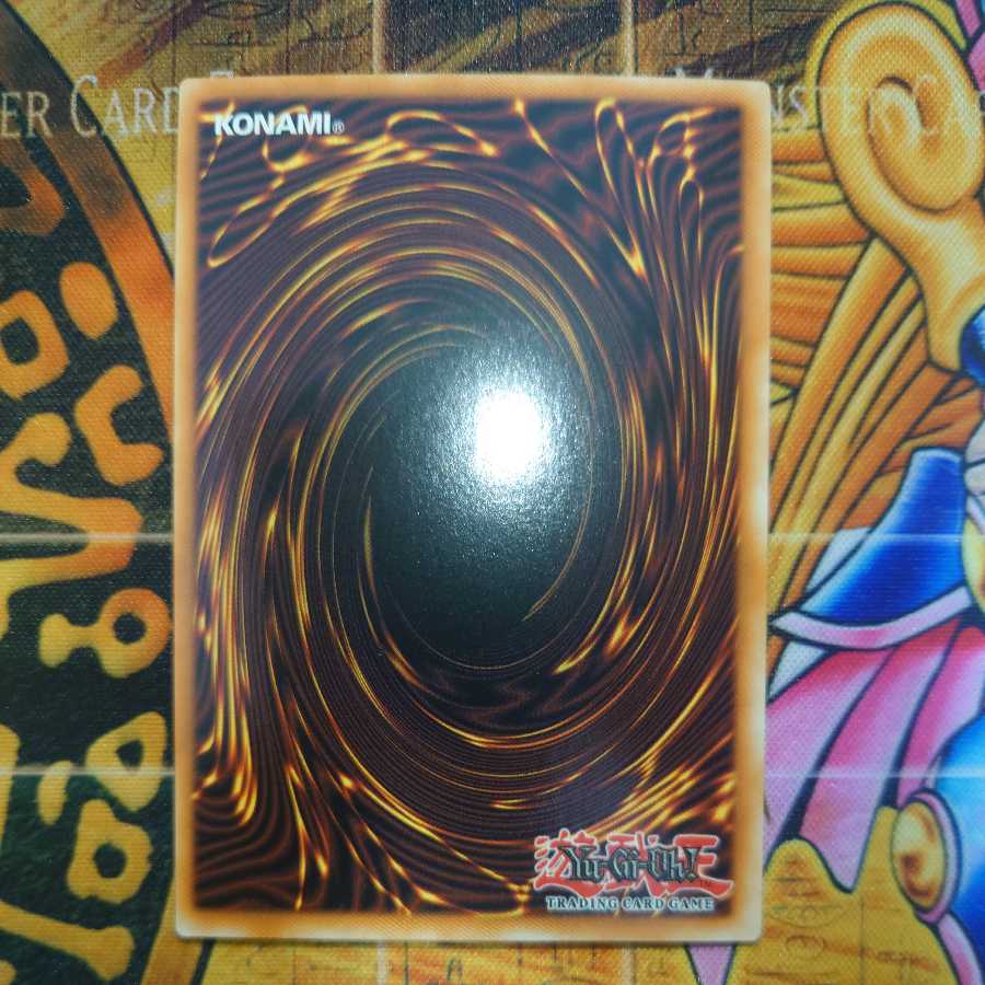 Rescue Cat (different picture) Pregol