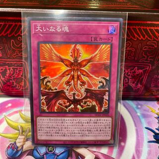 No.421 P shop Great soul [Sue].