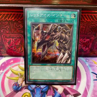 No.435 P屋 Red-Eyes Insight [shiku].