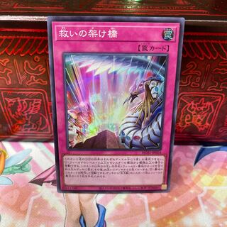 No.447 Bridge of P store Redeem [Sue].