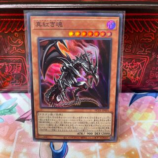 No.450 P shop, crimson soul [Sue].