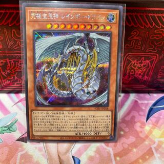 No.474 P shop Rainbow Dragon [Sikh