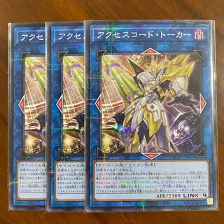 Accesscode Talker Parallel Normal 3-card set