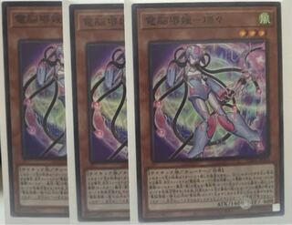 Dennou Sakai Ehime - Ruizui Super Rare