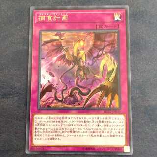 Predaplanning Rare [Mokurindo