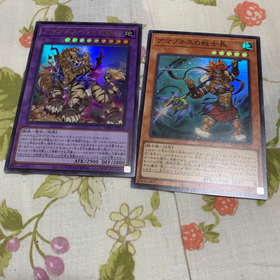 Warrior Chief of Amazones