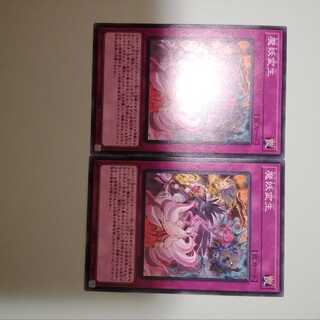 Mayakashi Metamorphosis 2 copies