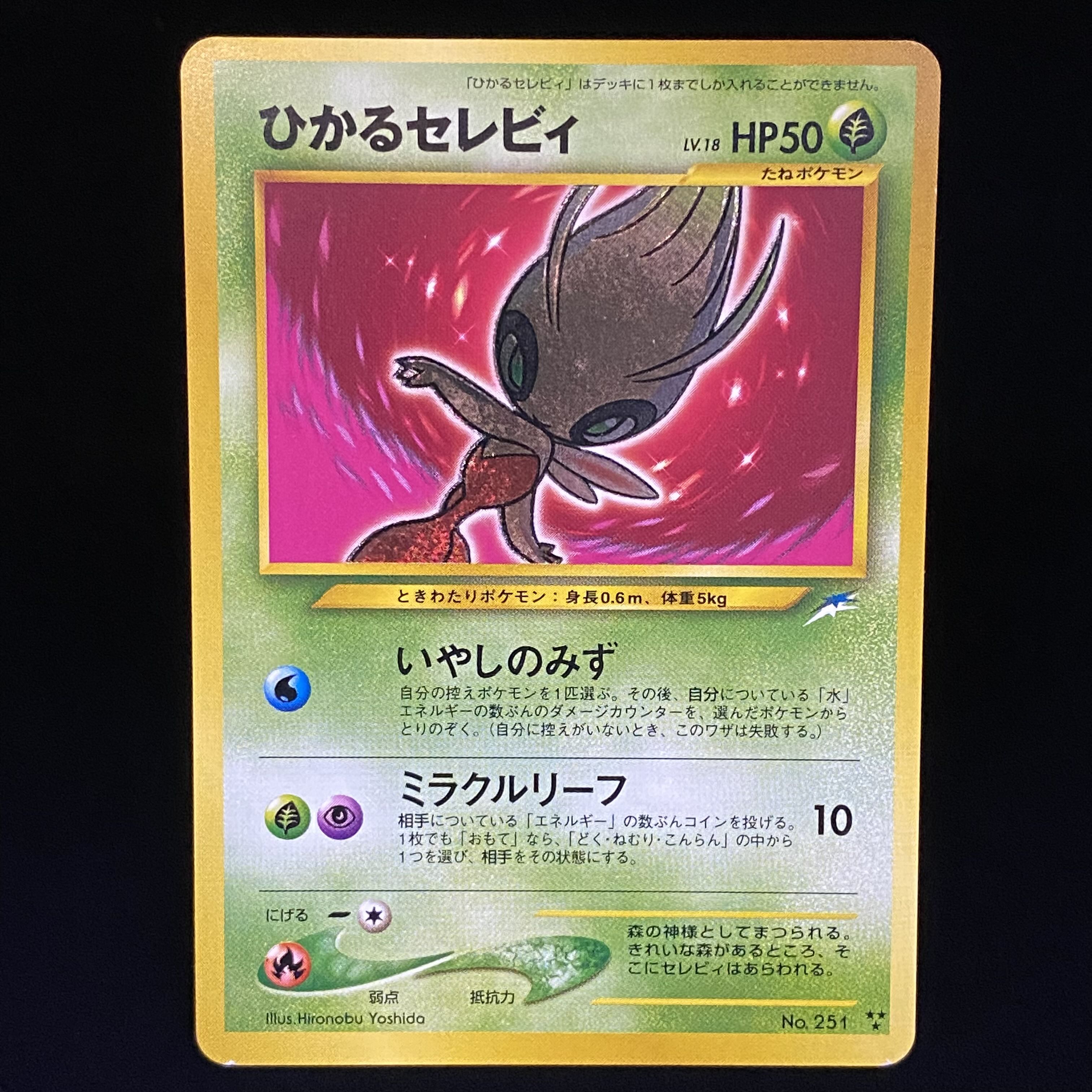 Hikaru Celebi Old Back