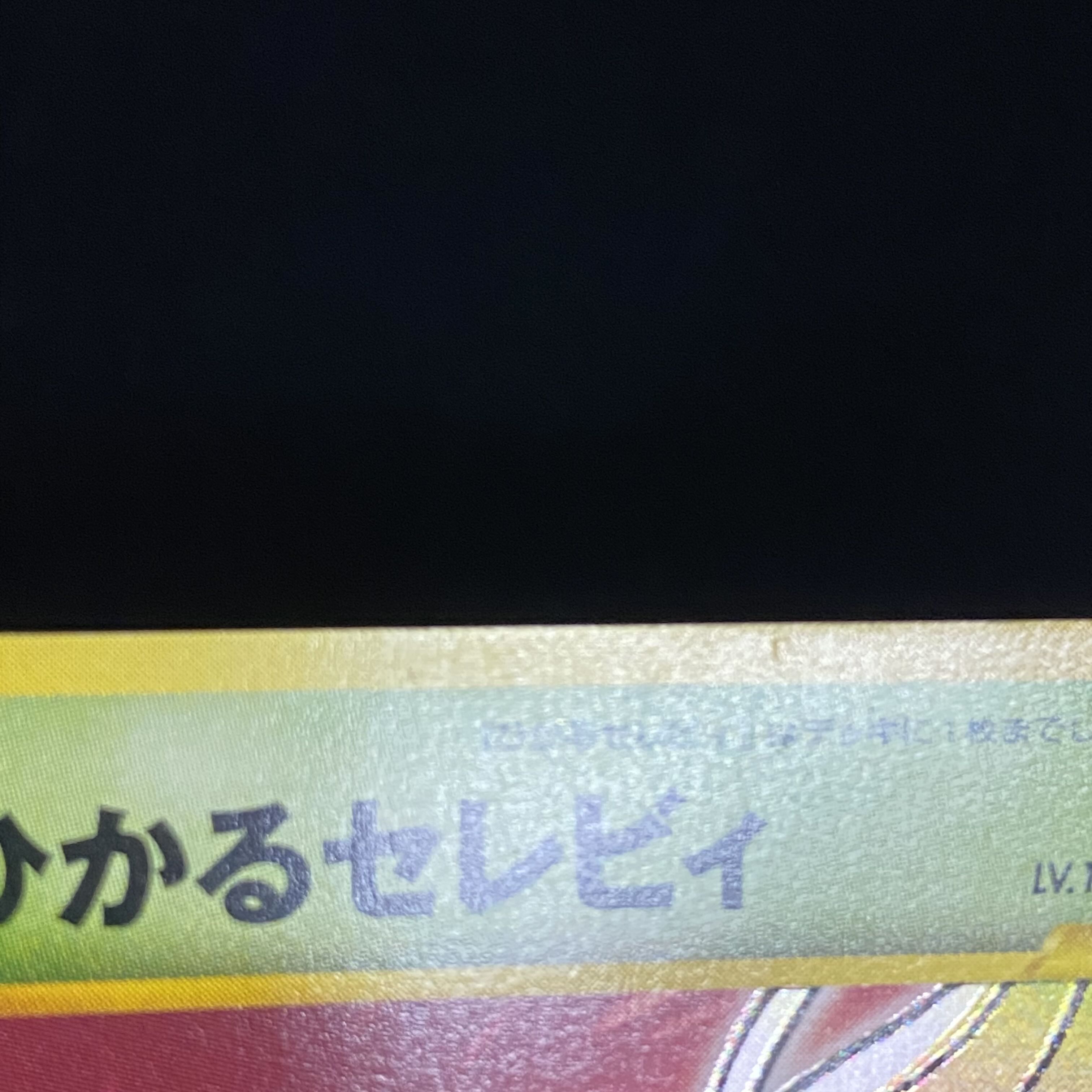 Hikaru Celebi Old Back