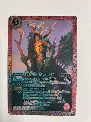 Kaylone the Wise Dragon