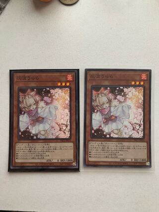 Ash Blossom & Joyous Spring