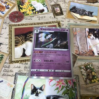 Psychic Gallade☆Evolution Set