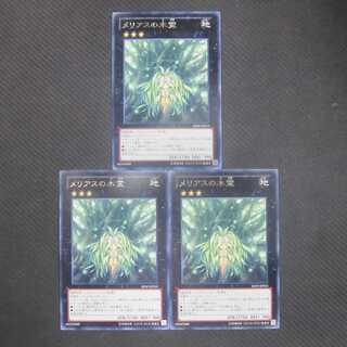 メリアスの木霊　レア　３枚セット