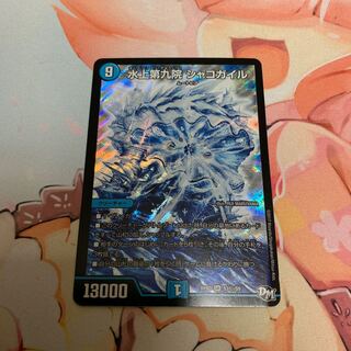 Waterjo Ninth Institute Shakogile SE Secret