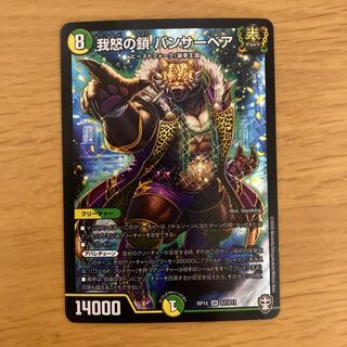 我怒の鎖 パンサーベア SR