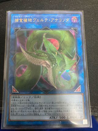 Predaplant Verte Anaconda