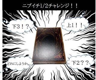 Sold Out☆Reduction Almost Unbeatable Nibuichi Challenge All 6 units