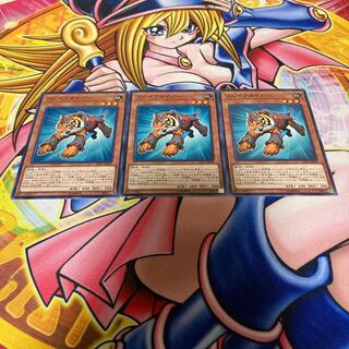 スレイブタイガー