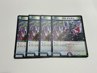 Natural disaster Dedham