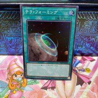 No.511 P shop Terraforming