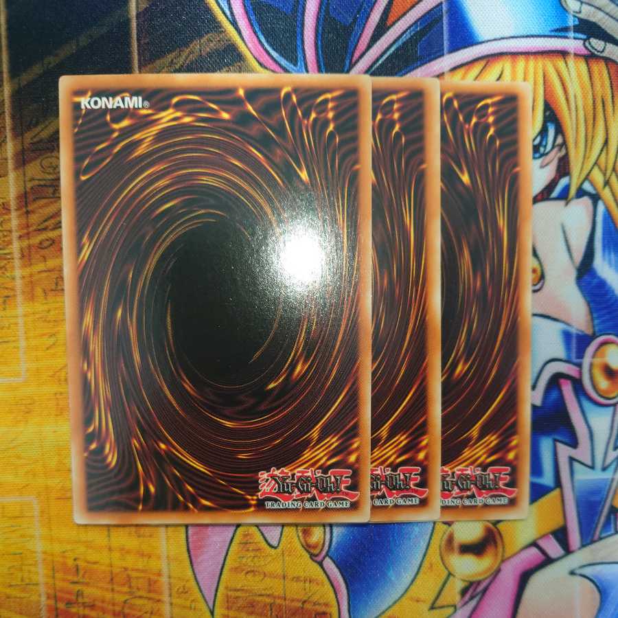 憑依装着-ライナ (プレゴル)  3枚セット