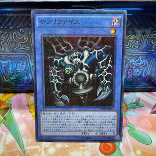 No.535 P屋 Relinquished [Sue